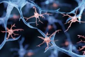 Microglia: The Brain’s Hidden Allies in the Fight Against Alzheimer’s