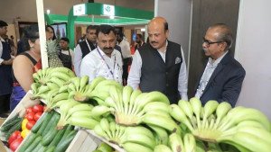 APEDA Boosts India’s Agri-Food Exports at World Food India 2025