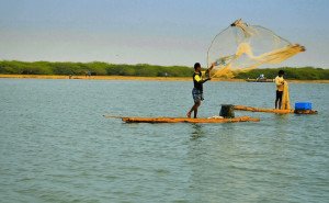 Pulicat Lake Ecosystem Faces Critical Fishing Crisis