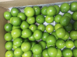 First export of GI-tagged Indi Lime and Puliyankudi Lime to the United Kingdom