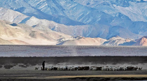 Proposal to Redraw Changthang and Karakoram Sanctuaries in Ladakh for Central Clearance