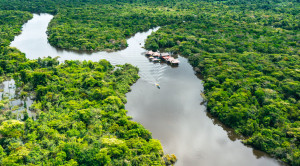 AmazonFACE Project Simulates Future Climate to Study Rainforest Adaptation