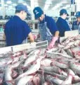 India’s Blue Revolution Transforms Fisheries Sector